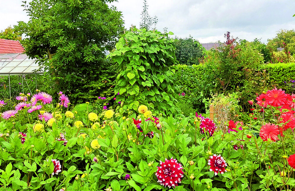 Johan en Joke Pasop 2 en 3 mei 2026.jpg
