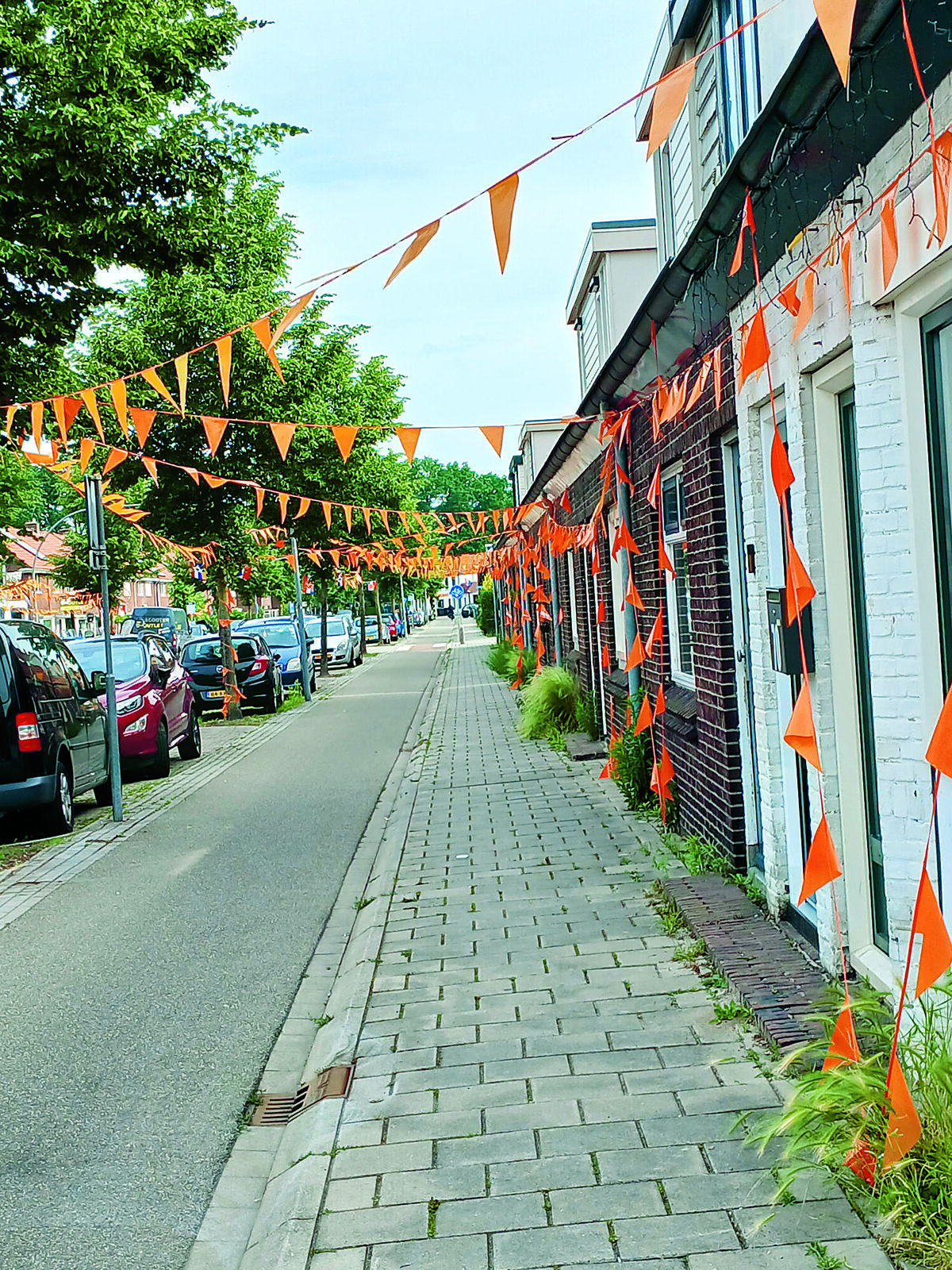 Ook de Nachtegaalstraat kleurt oranje