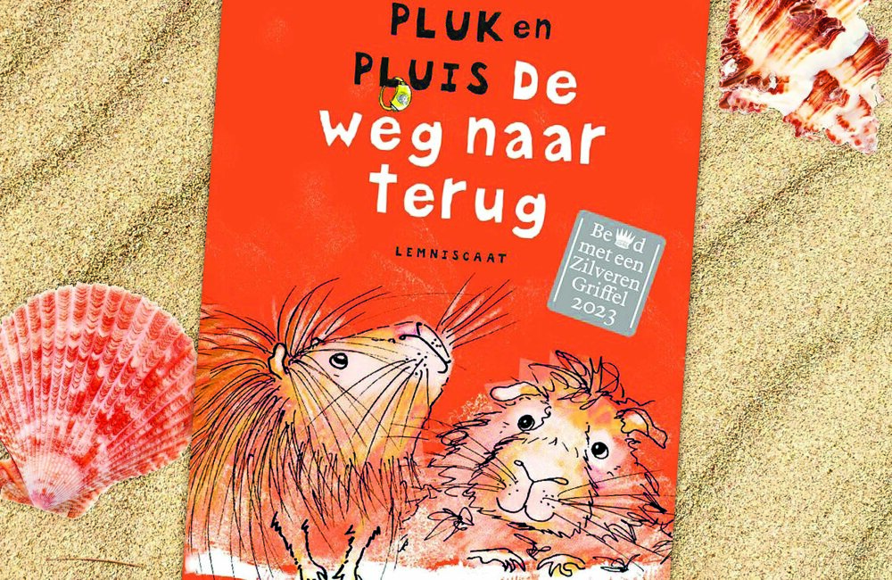 HetGrotePluk&Pluisfeest_RGB