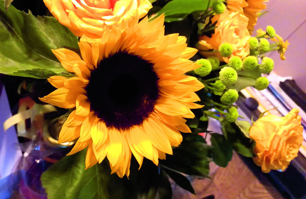 2024 Zonnebloem