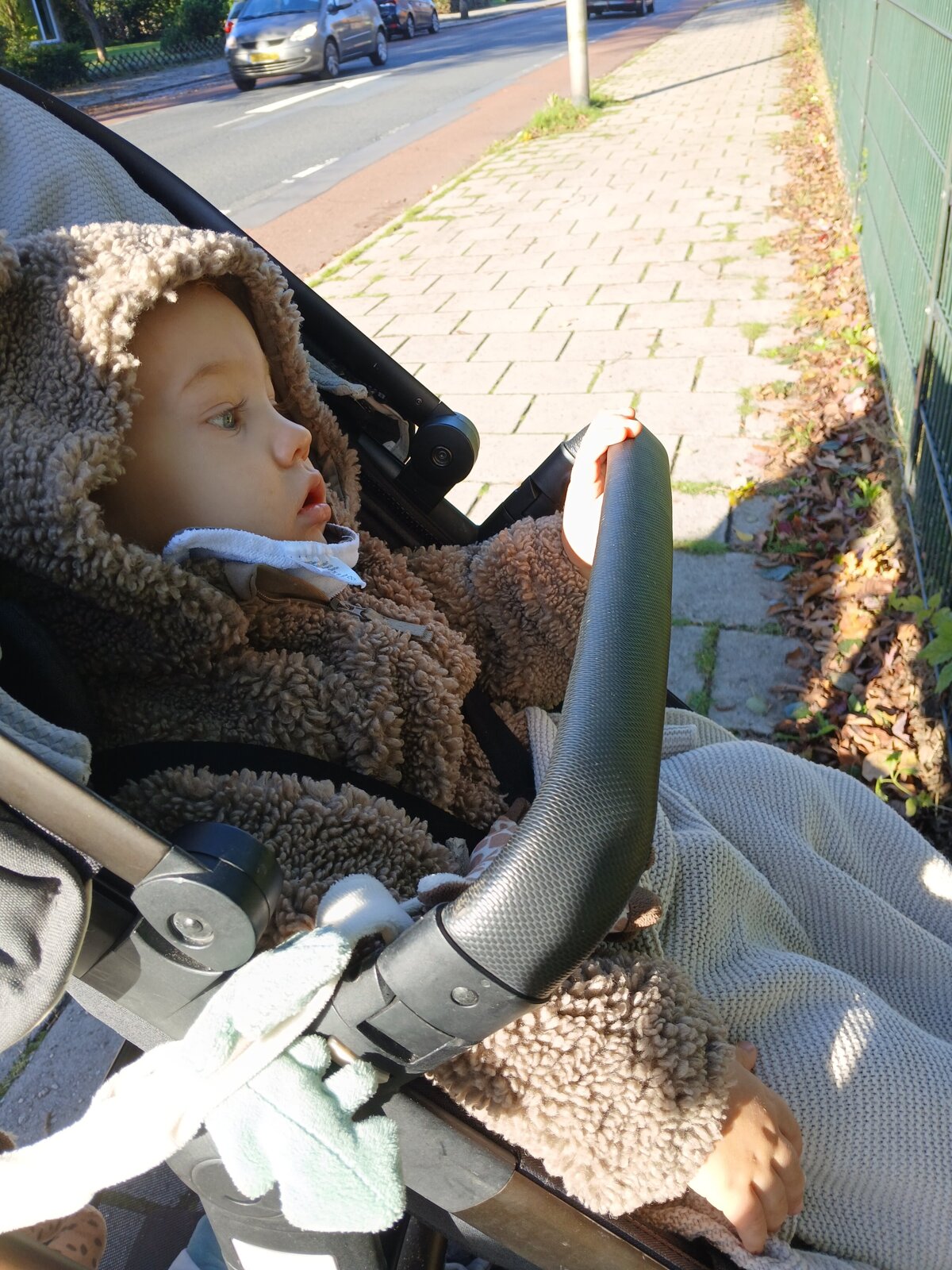 De herten liggen er tevrden bij