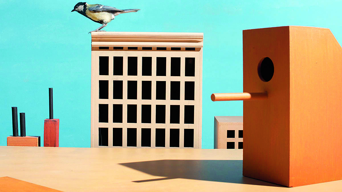 Hans van Asch-Foto The Horizontal City, 2023.jpg