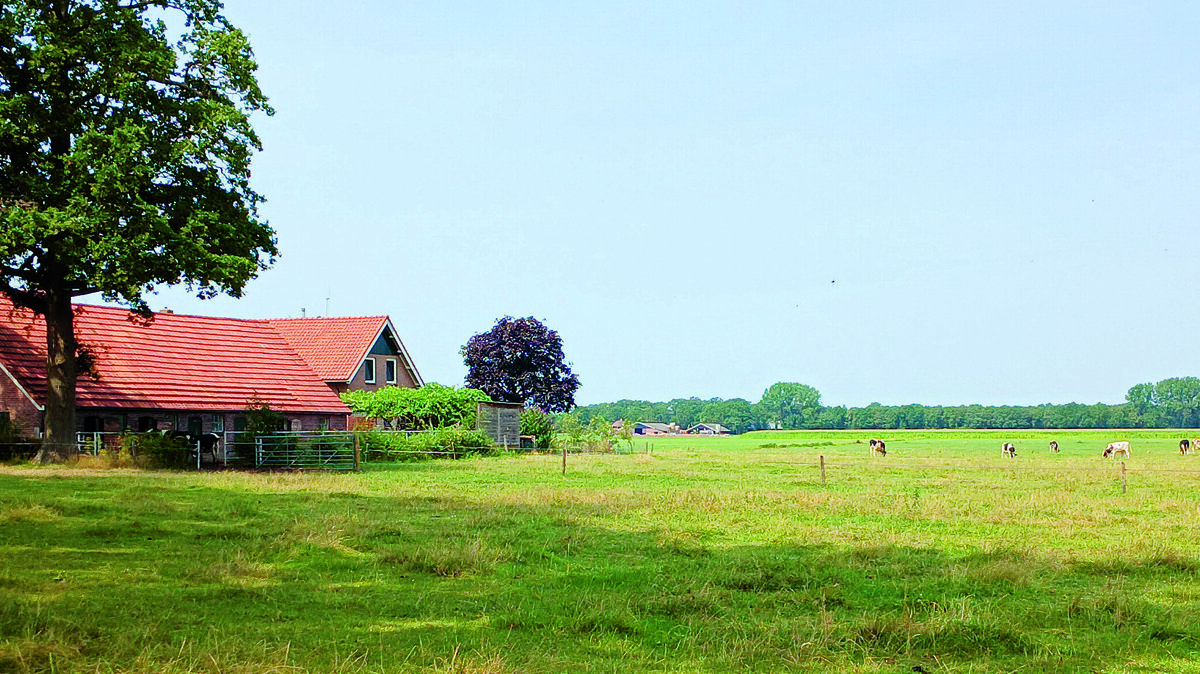 genieten van het prachtige Twentse landschap