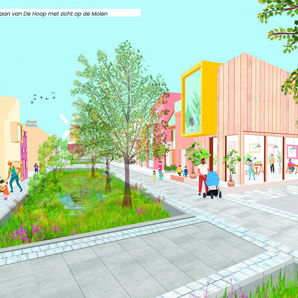 5.4 Afb Laan van de Hoop collage.jpg