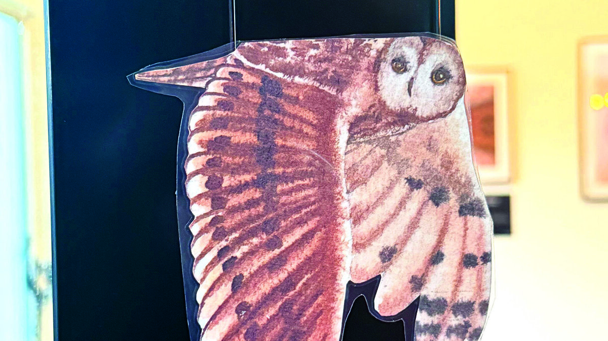 Zoek de vogels, speurtocht Stedelijk Museum Almelo.jpg