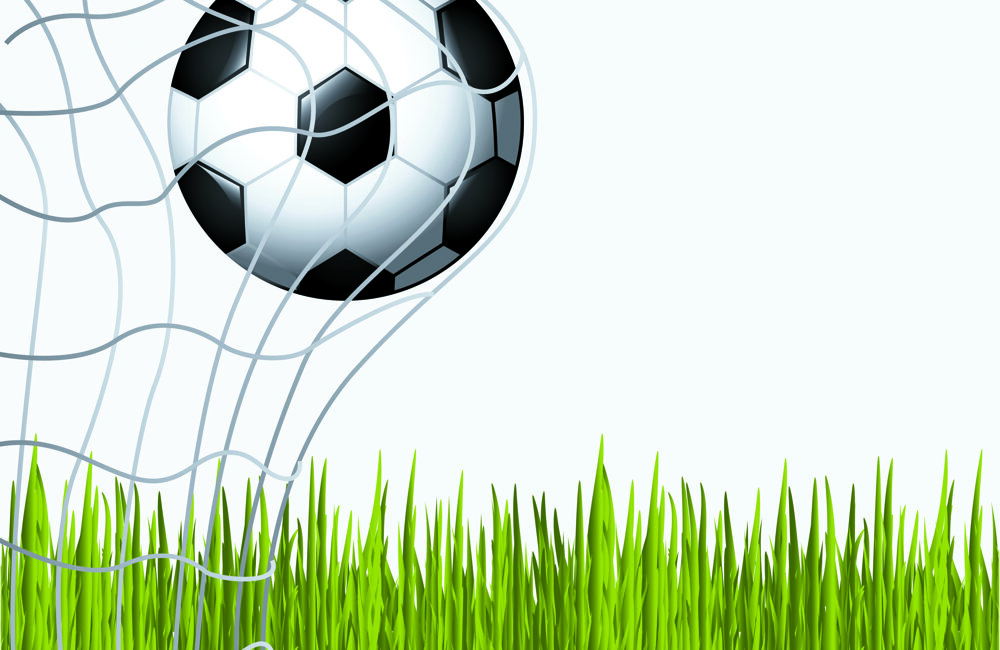voetbal in net met gras
